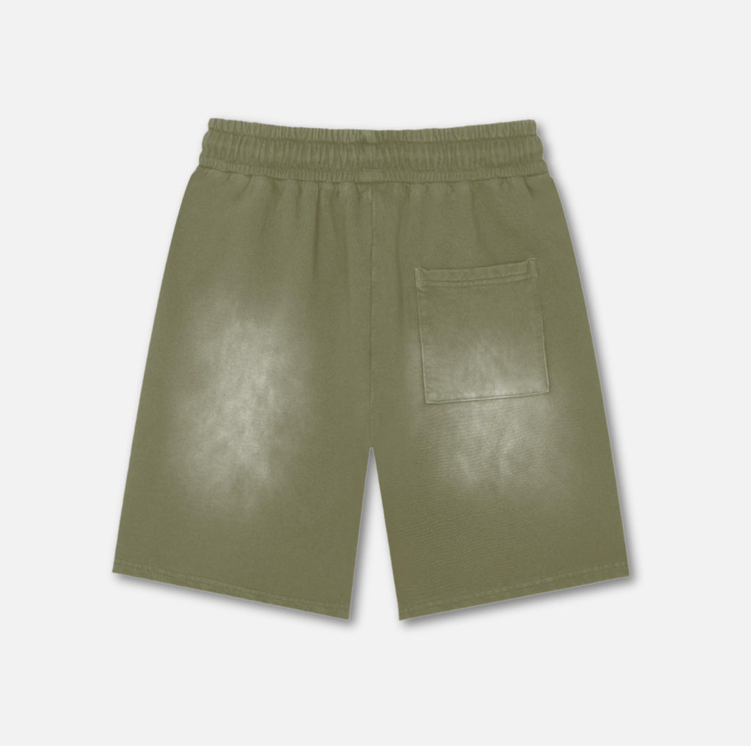 316 Dove Washed Cotton Shorts 