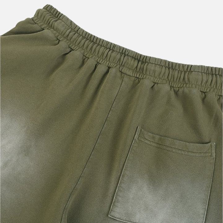 316 Dove Washed Cotton Shorts 