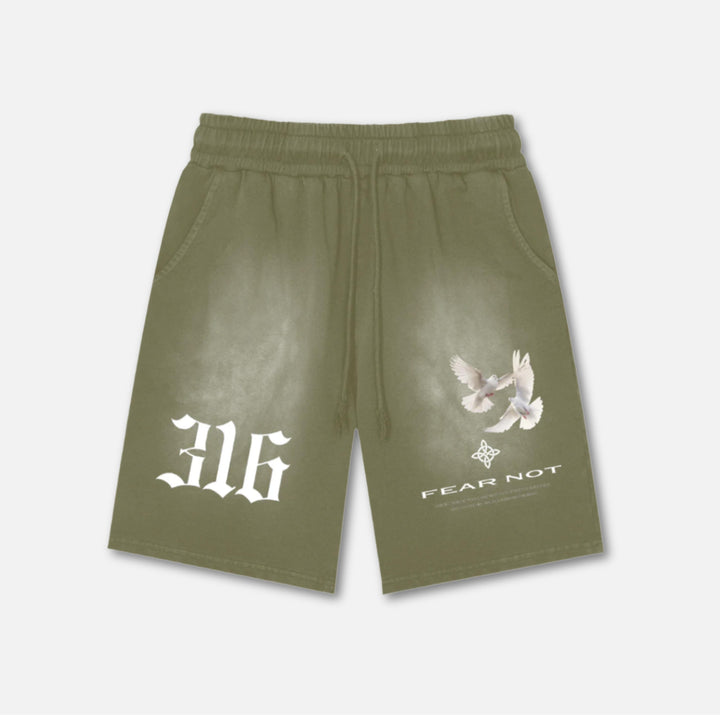 316 Dove Washed Cotton Shorts Light Green S 